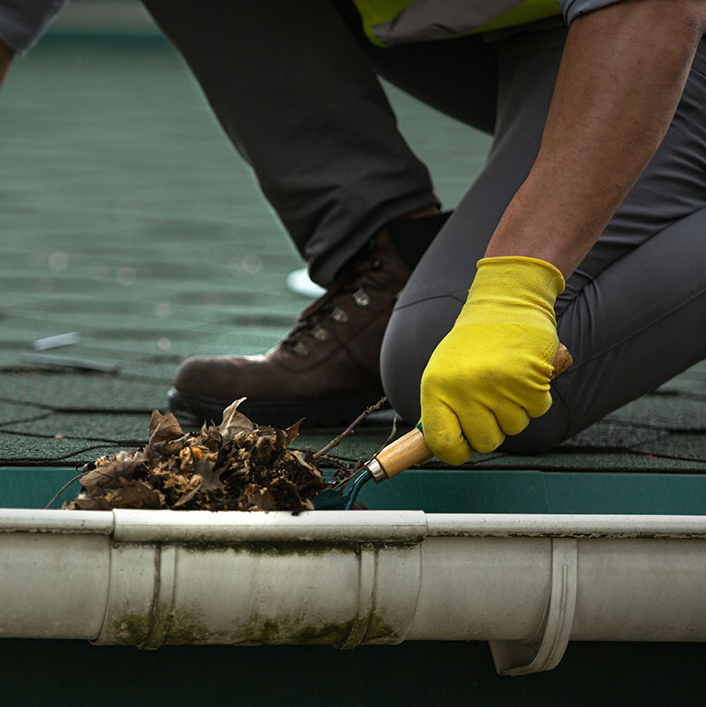 gutter cleaning